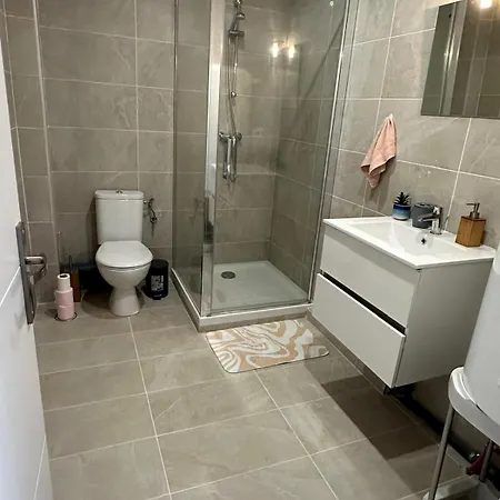 La Colmarienne Apartment